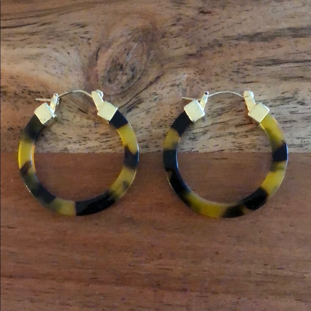 Tortoise Hoop Francesca’s Earrings